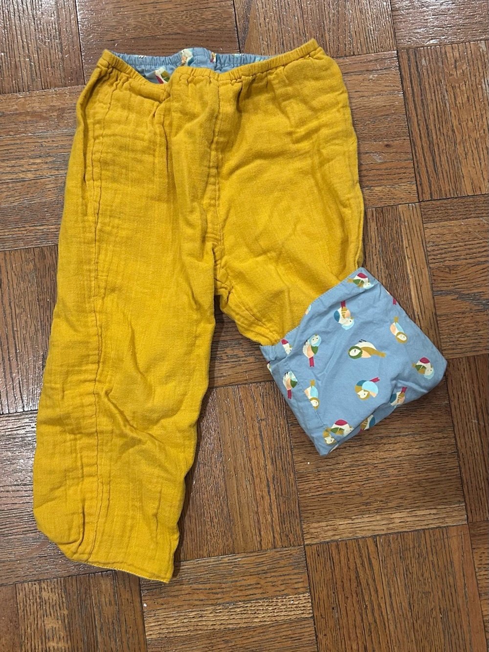 Little Green Radicals Reversible! Mustard Yellow/Blue Bird Joggers